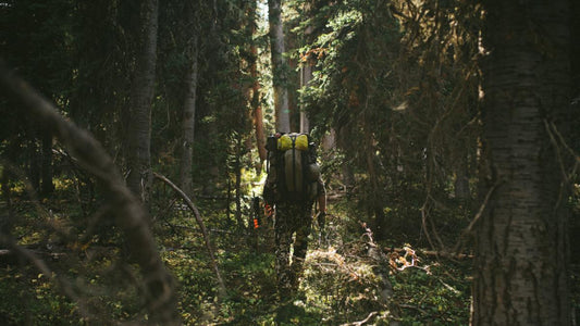Hunting The Last Wild Places-Yellowstone Country