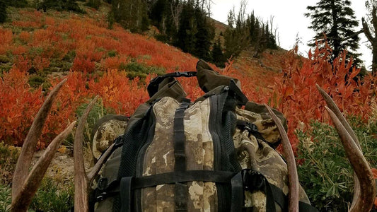 Argali Solo Archery Mule Deer Hunt