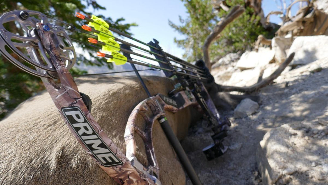 How to Make Shots Count in the Field