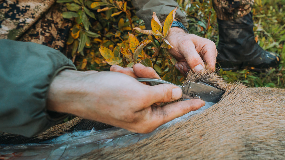 Argali Backcountry Hunting Knife