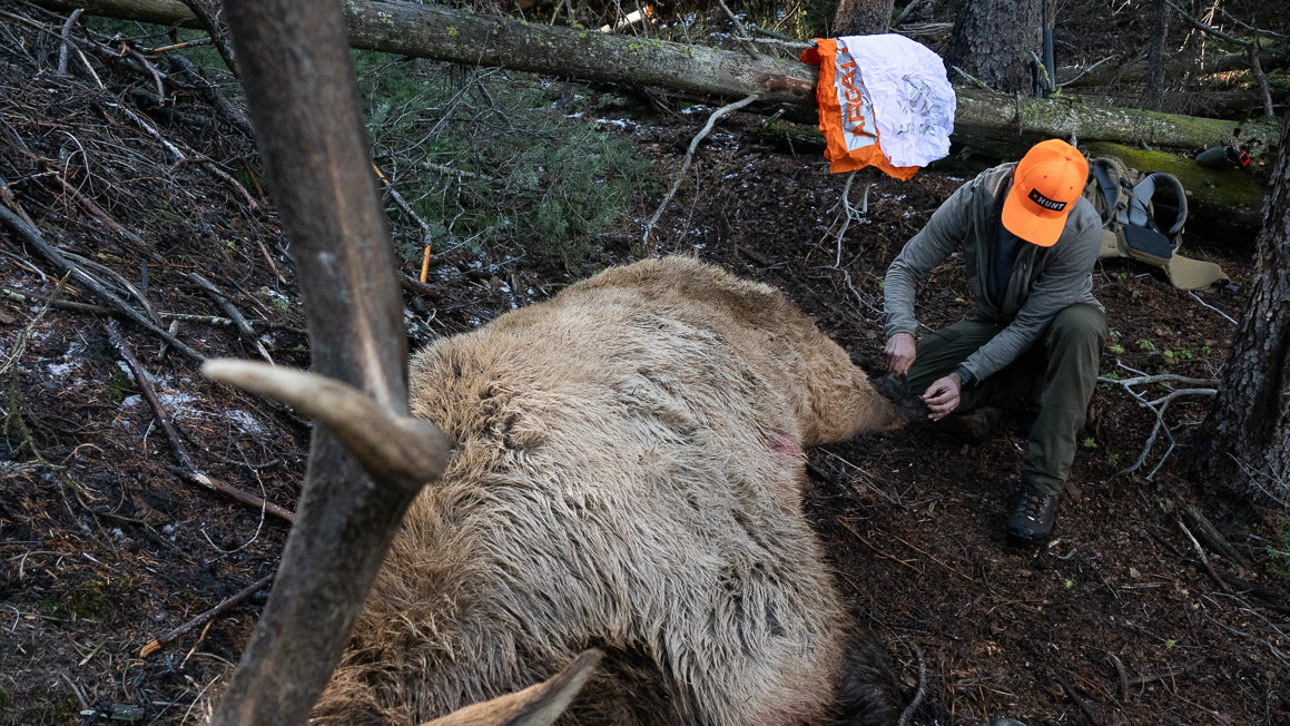 Backcountry Field Kits