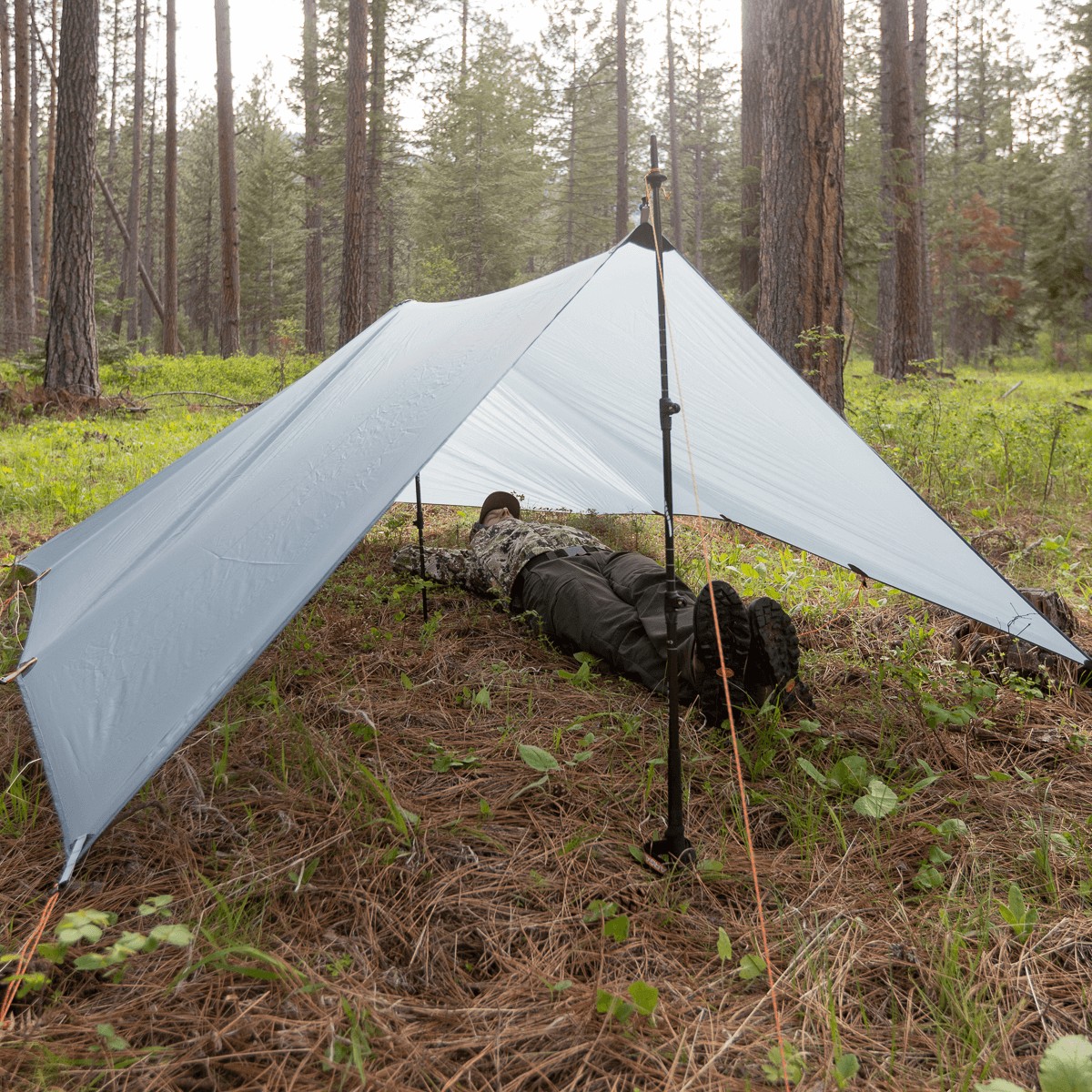 tarp geliu Argali Talus Tarp