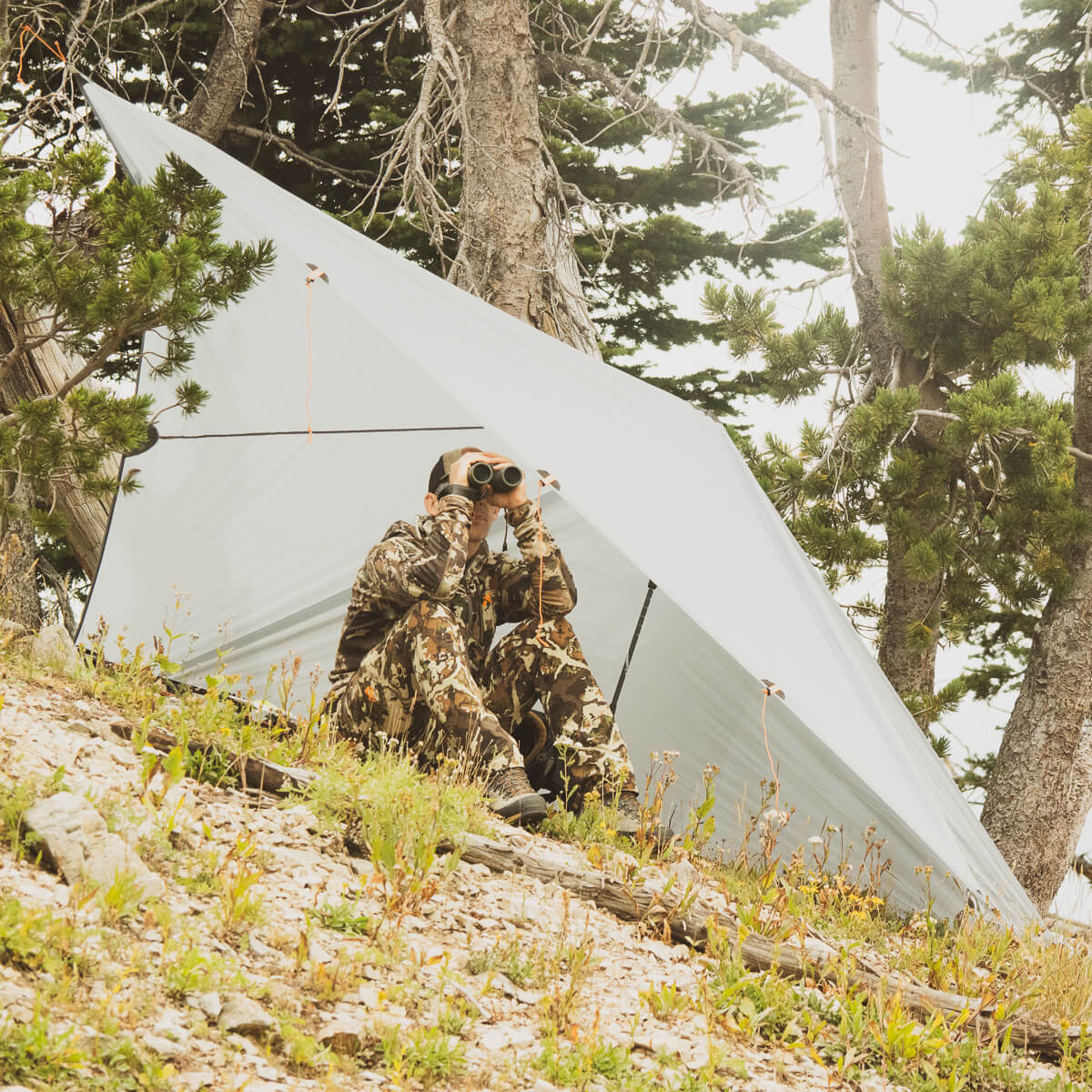 woodland tarp Argali Talus Tarp