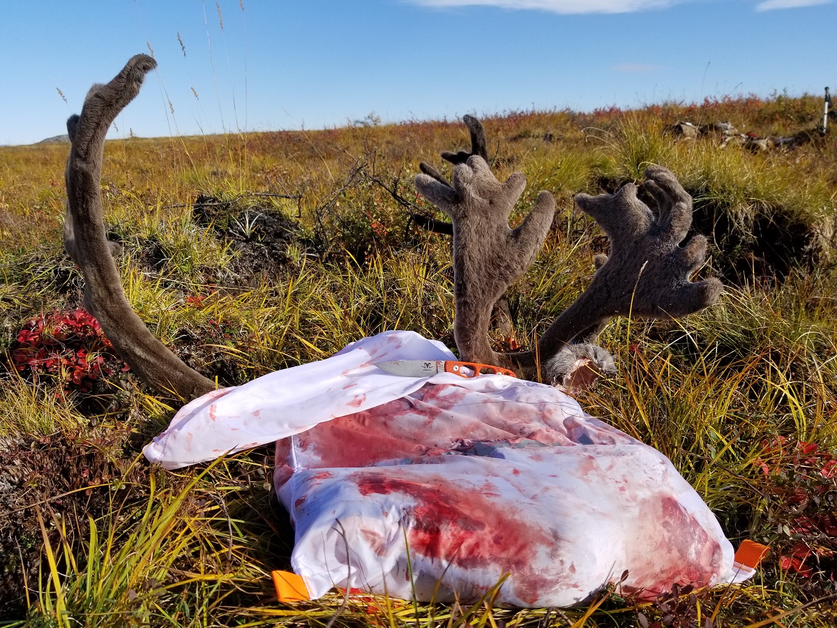 Alaska Diy Caribou Hunting Gear List Argalioutdoors Com