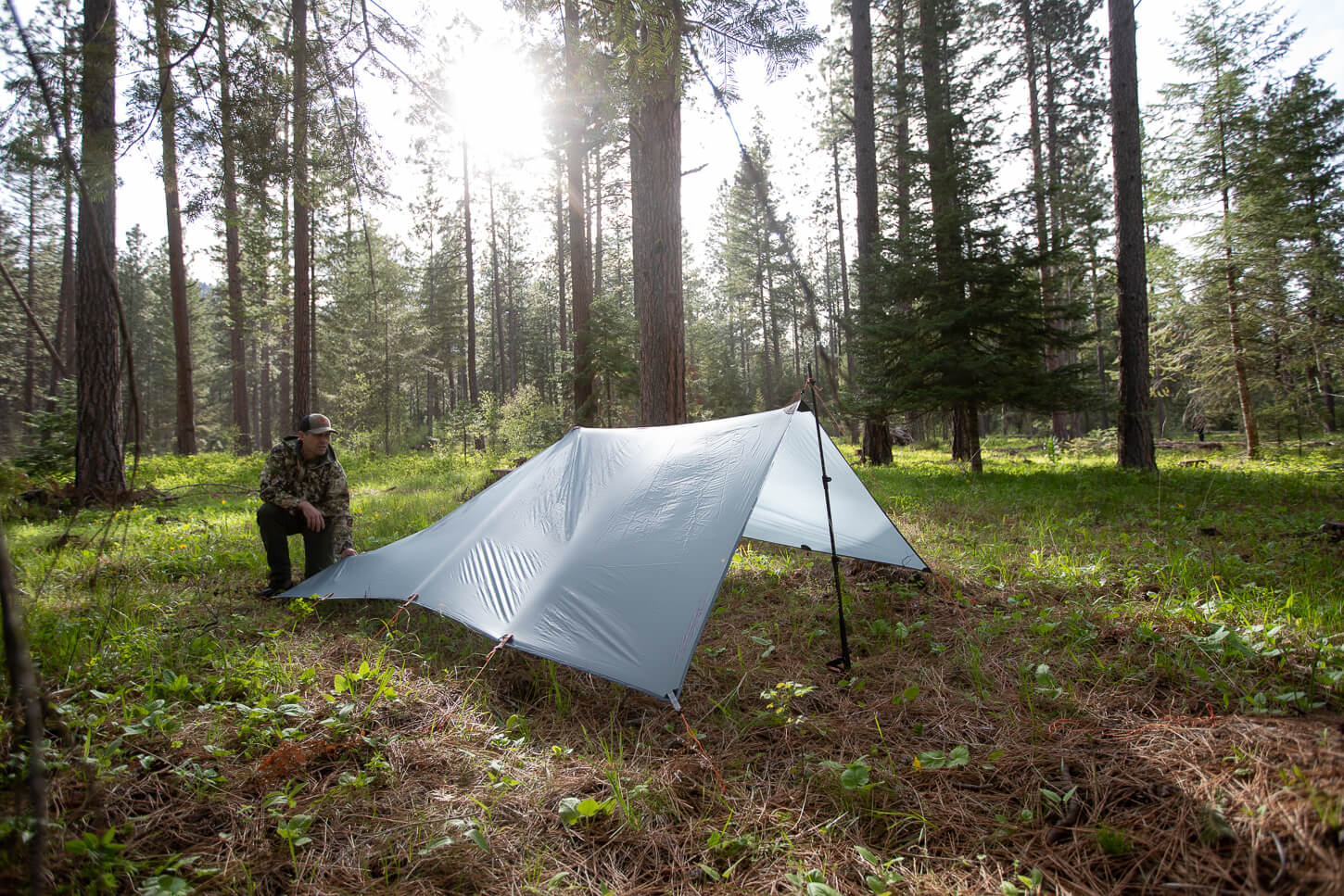 Argali Talus Tarp