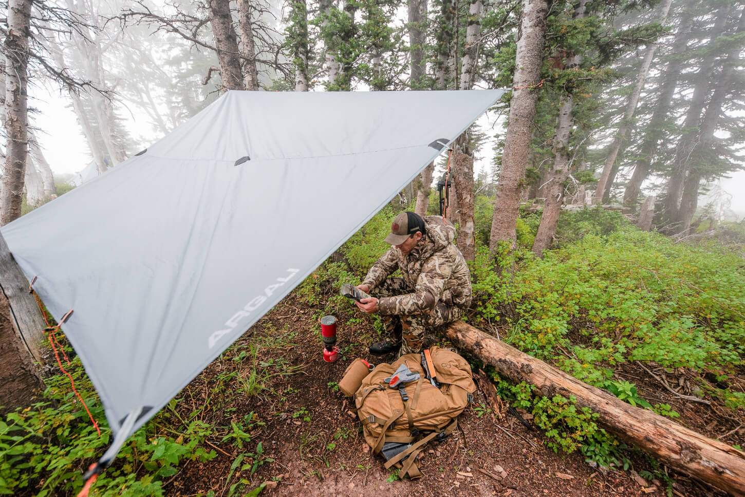 Argali Talus Tarp