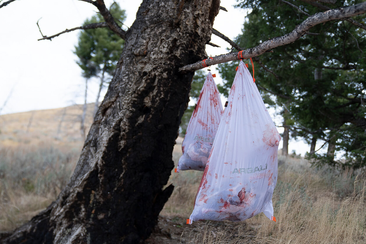 Game bags hanging in tree with meat to get cool