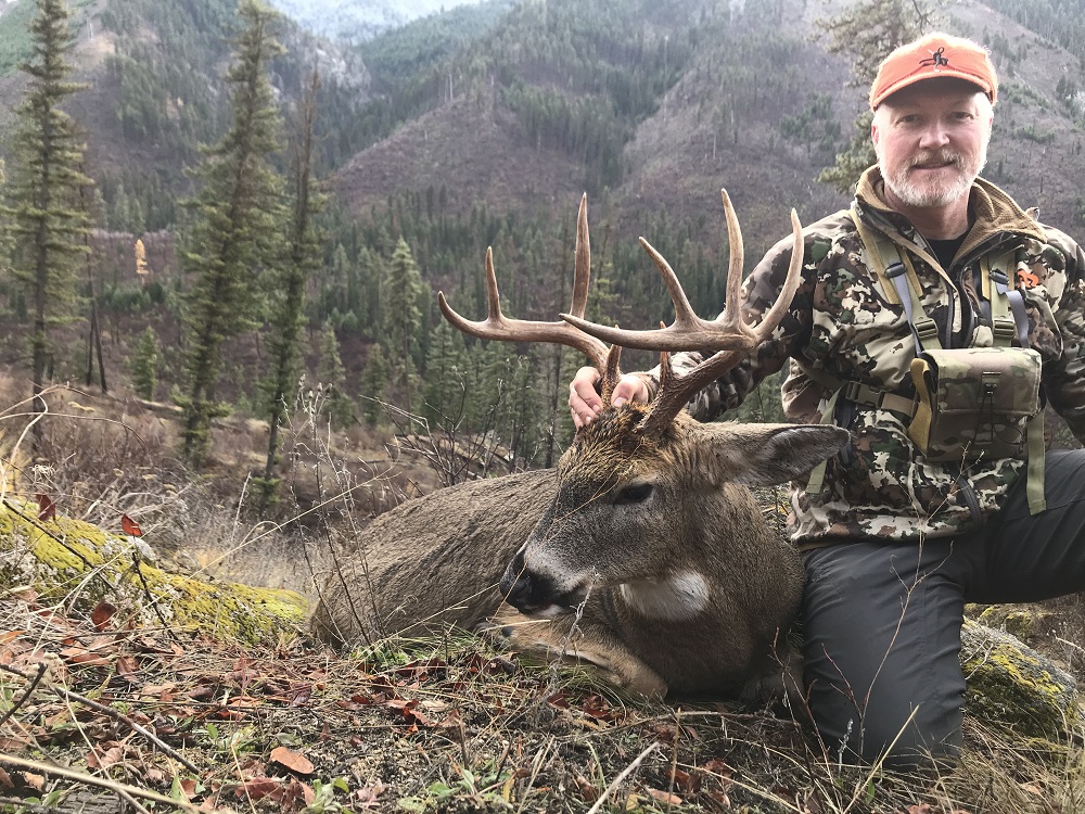 hunting western whitetail deer