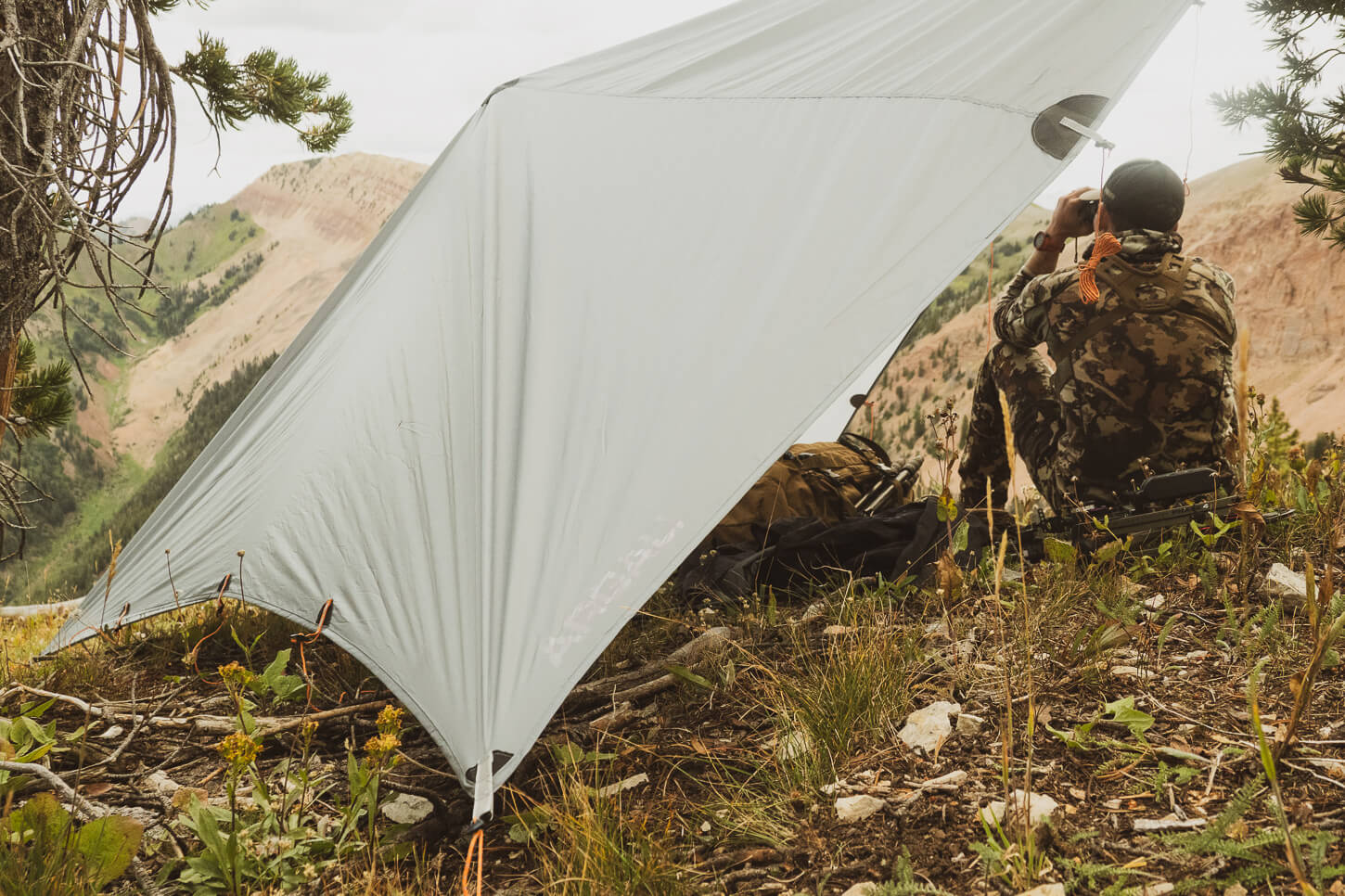 Argali Talus Tarp