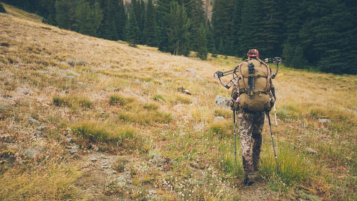 Packing out a mule deer buck in early archery season