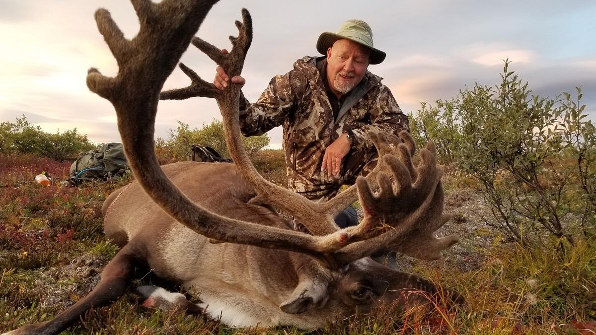 Alaska Arctic Caribou Hunting