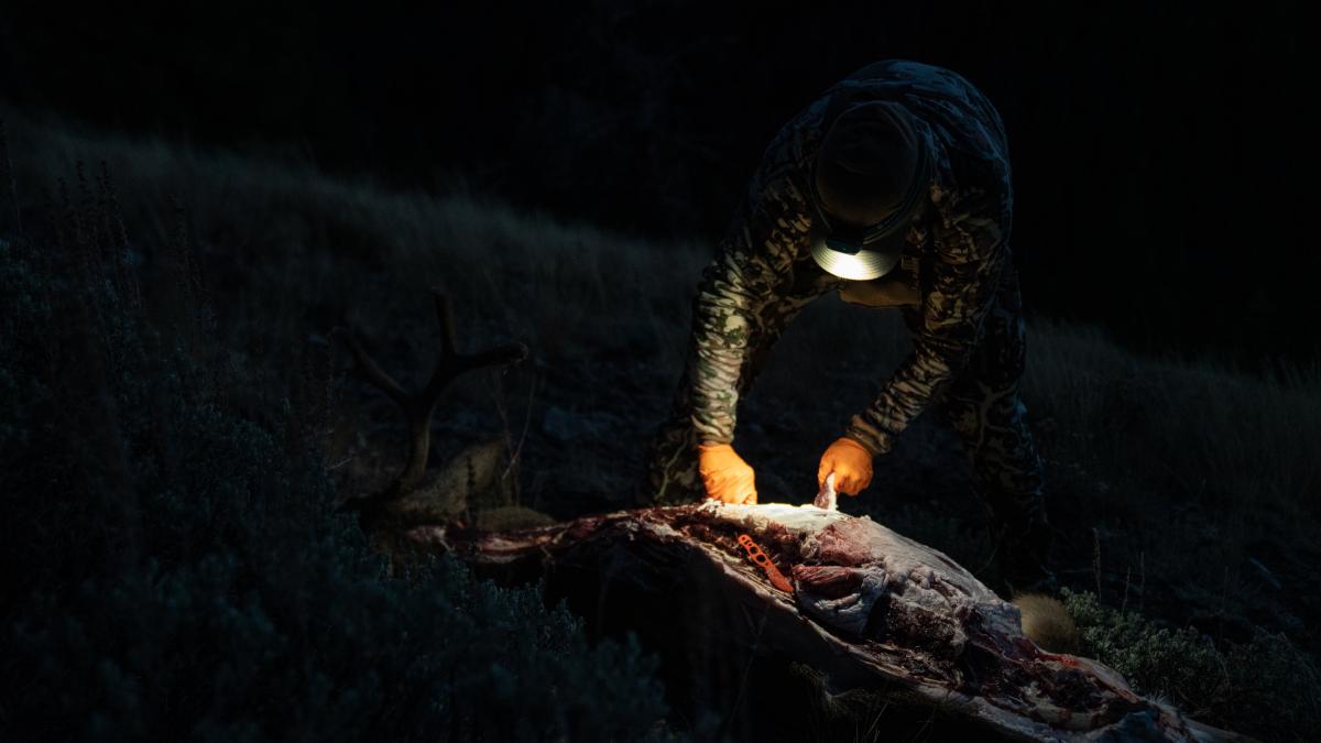 Hunter using his knife to process a deer in the field