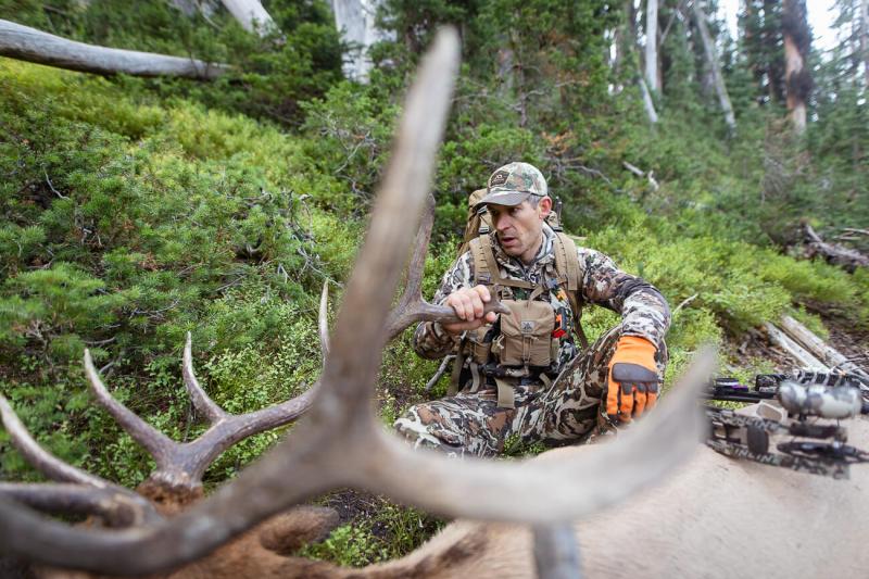 Lost Basin: An Archery Elk Story